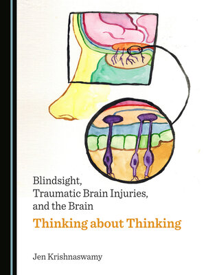 cover image of Blindsight, Traumatic Brain Injuries, and the Brain